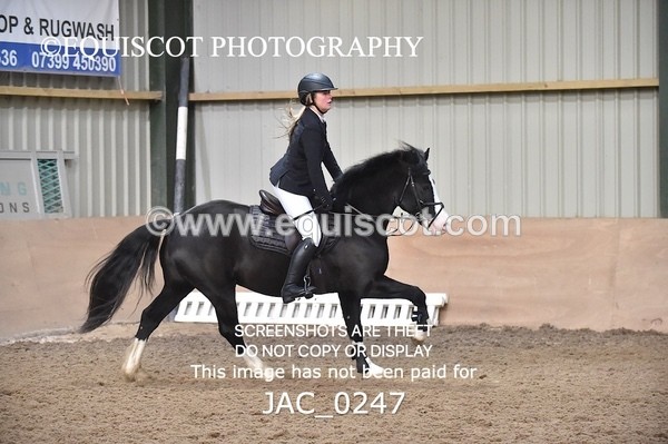 JAC_0247 - CLASS 6 Intermediate Show Jumping - (0.70m)