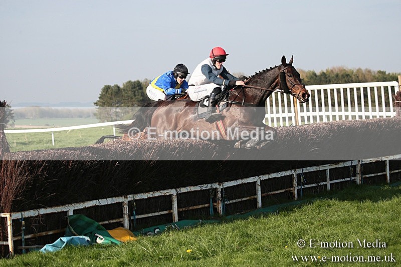 PtP 210418 636 - South & West Wilts Point-to-Point Larkhill 21/04/18