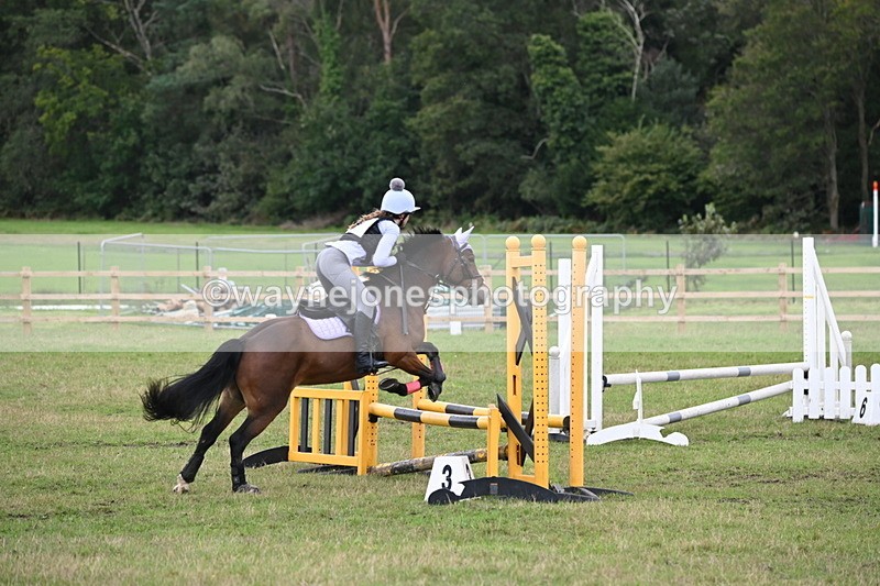 WJ6_1724 - 60cm Time 12:11 to 12:28