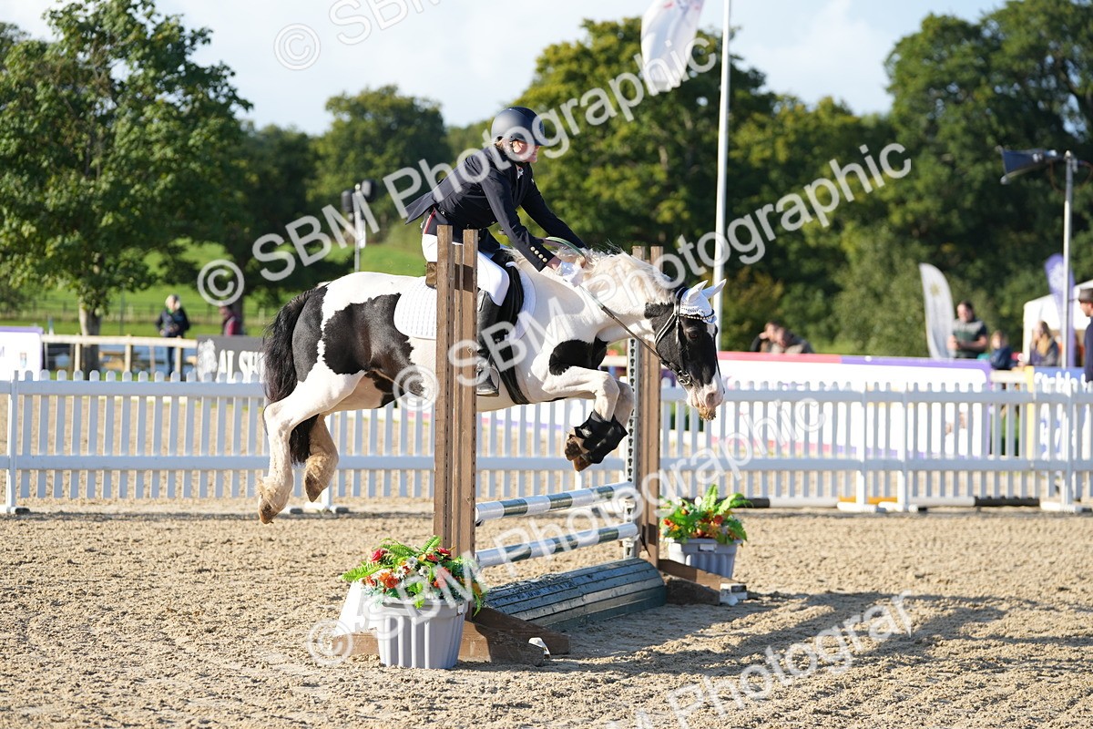 SBM_14156 - J57 - Clear Round 60cm