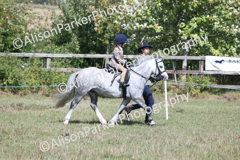 20250831-2633 - Class 17 - Lead Rein Pony