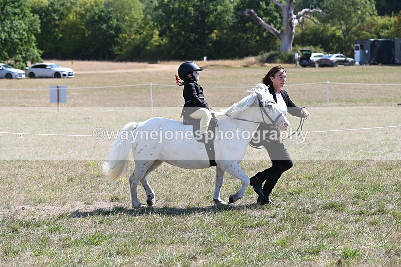WJ6_7846 - Class 36 Lead Rein