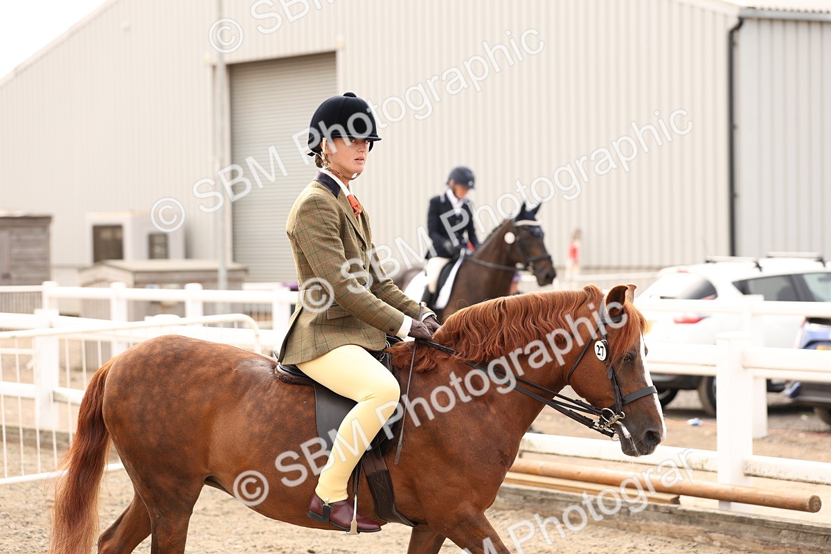 SBM_01610 - Class 52 - Ridden Veteran