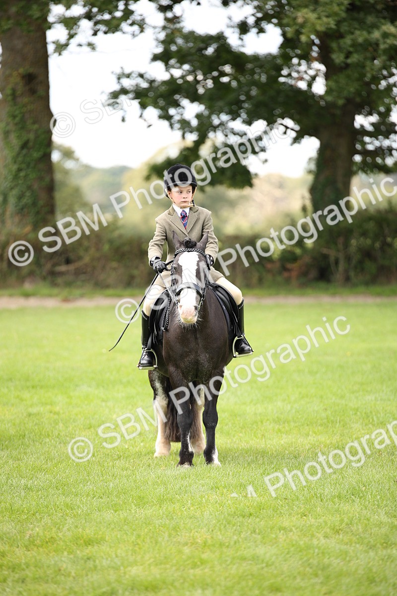 SBM_42354 - S13 - Pony Club Pony