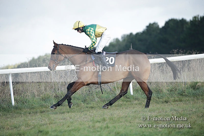 PtP 011219-0296 - Hursley Hambledon Hunt Point-to-Point 01/12/19
