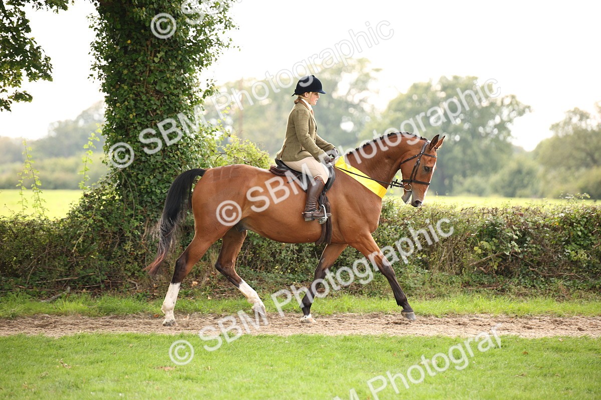 SBM_73616 - Ridden Horse Supreme Championship