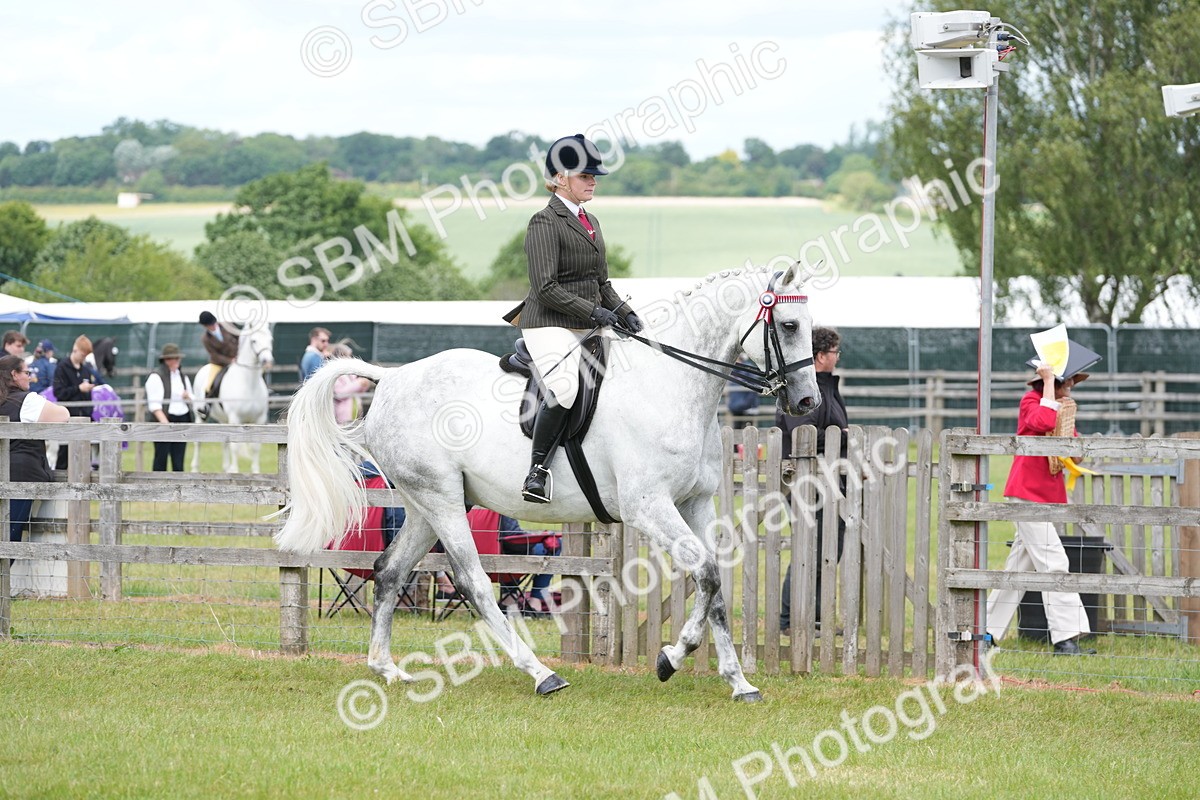 SBM_16161 - Class 105-106 - RIHS Riding Horses