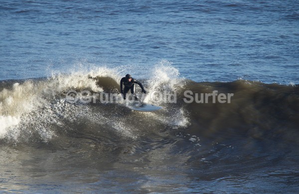 DSC_7911 - East Coast 27th Dec 2016