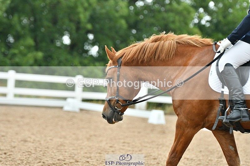 230708A-113311-01116 - Novice 23