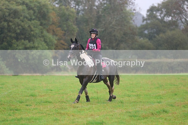 3E7A1130 - Class 2: 70cm: Half Roll Top