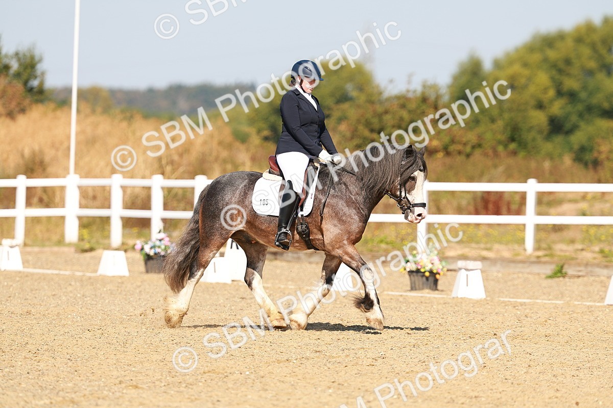 SBM_017790 - Class 9 - N5 Bronze 10.33.11.36