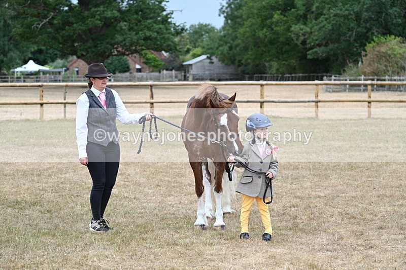 WJ7_9341 - Prettiest Mare Champs