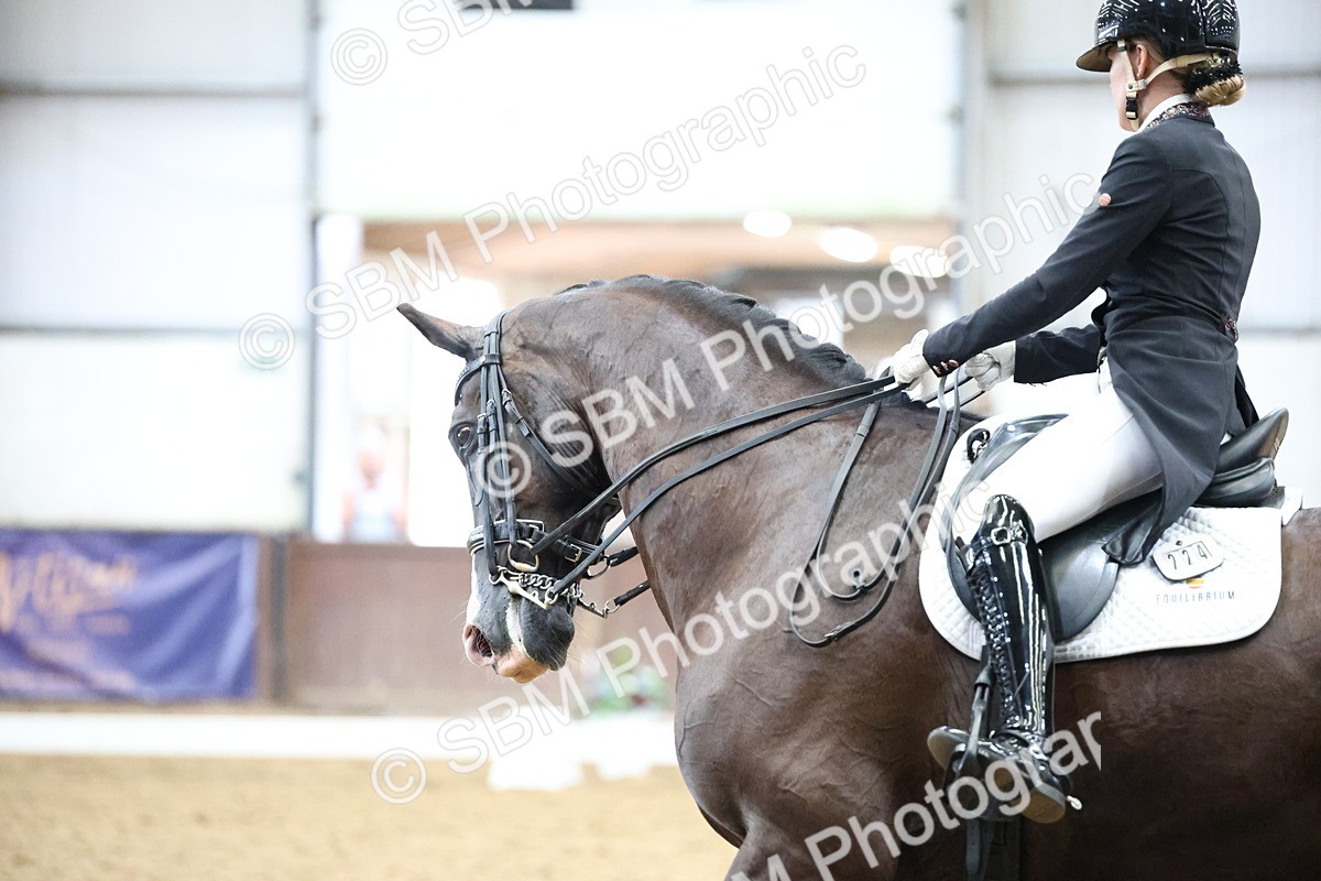 SBM_004671 - Class 9 - FEI Inter 1 Gold - 16.59-17.47