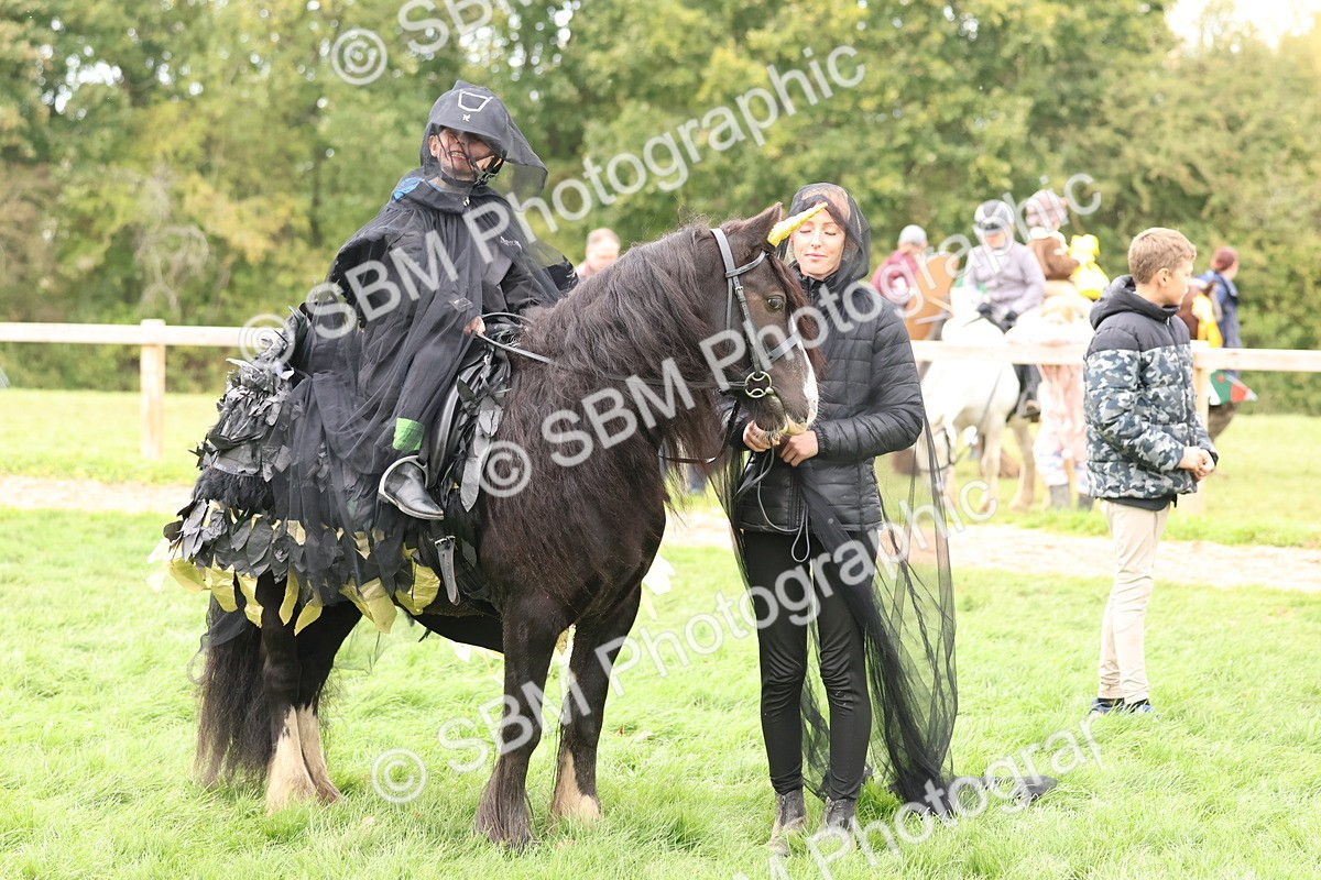 SBM_62188 - S37b - Best Unicorn