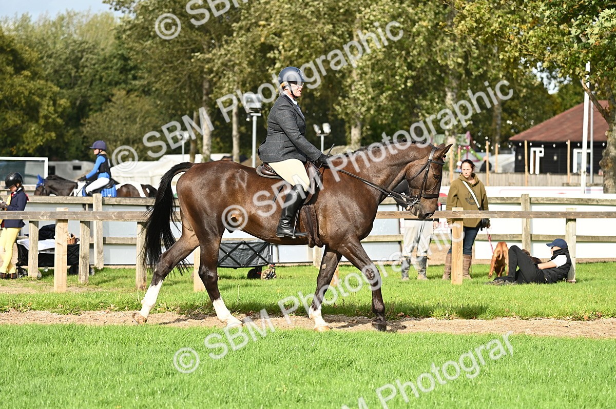 SBM_26291 - S6 - Novice & newcomer Ridden horse