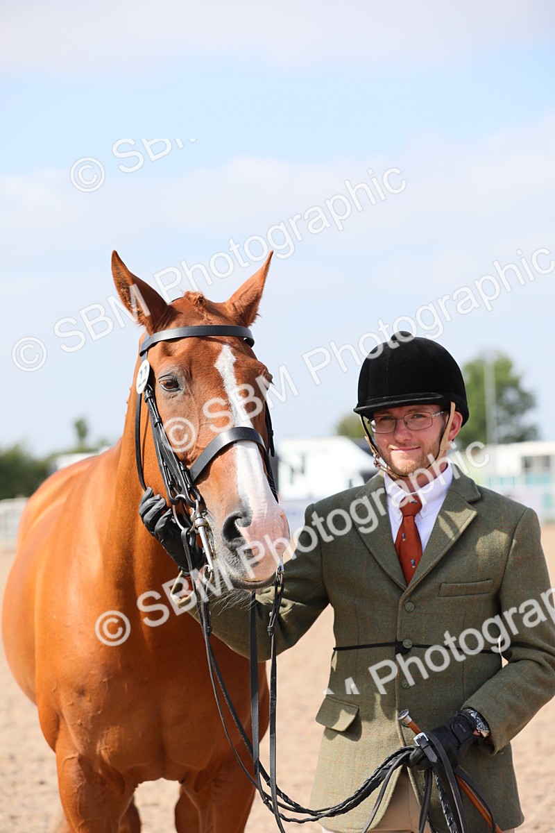 SBM_15756 - Class 312 IH Competition Horse/Pony