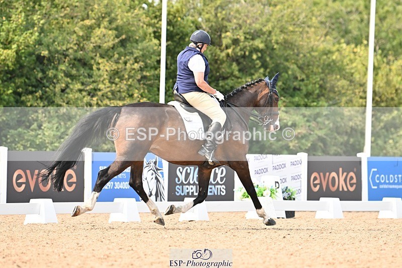 250816-150001-05739 - 031-Nicola.SealRebel.Heart