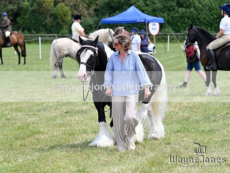 WJ7_7985 - Nancy And Churchill SORC summer show 21-06-26