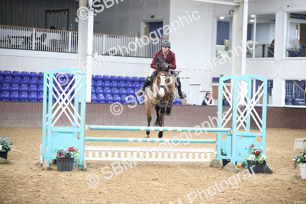 5K7A3421 - Class 2 - Nupafeed Supplements Senior Discovery/ 1m Open