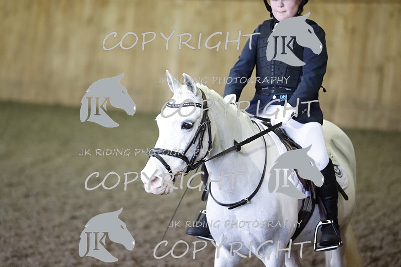 _R6A1353 - Class 1 walk trot 2022