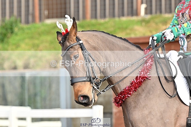 241214-131529-02365 - 106-Tyler.Bradshaw-Mexx