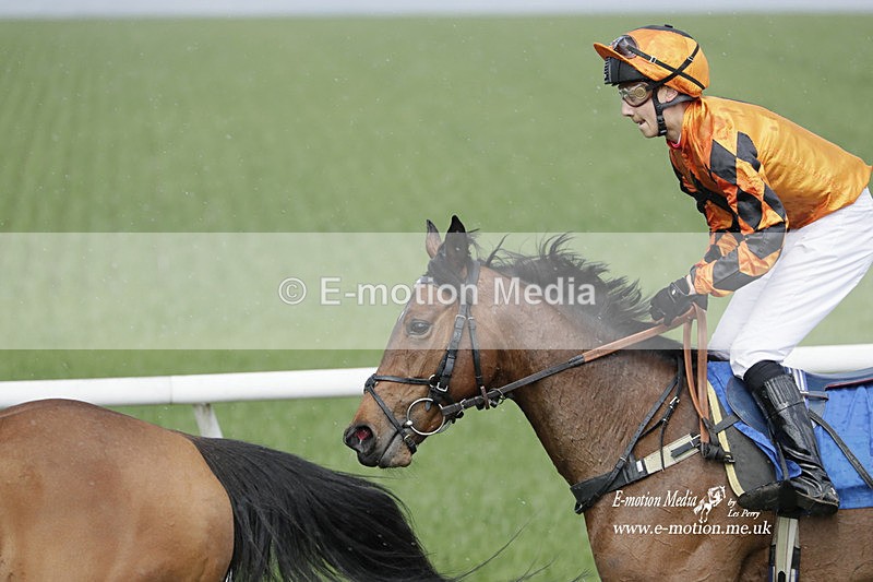 PtP PR 100423 446 - Pony Racing Lockinge 100423