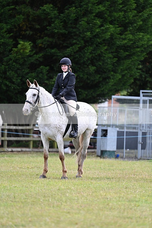 WJ7_8509 - Class 7  Riding Club Show Horse