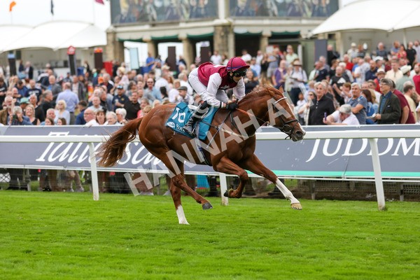 230823-Race 7-Zoulu Chief-4614 - Race 7 5.20pm Sky Bet Nursery Handicap