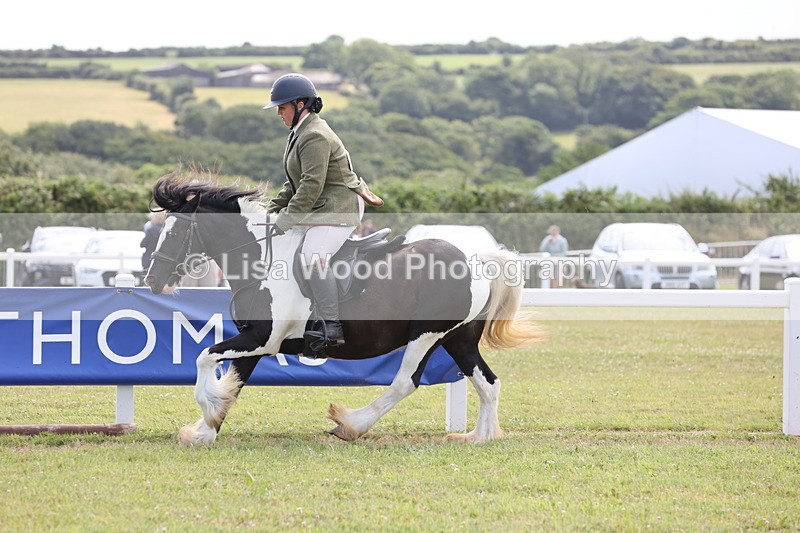 JPP_1540 - Class 17: Cornish Combination Open