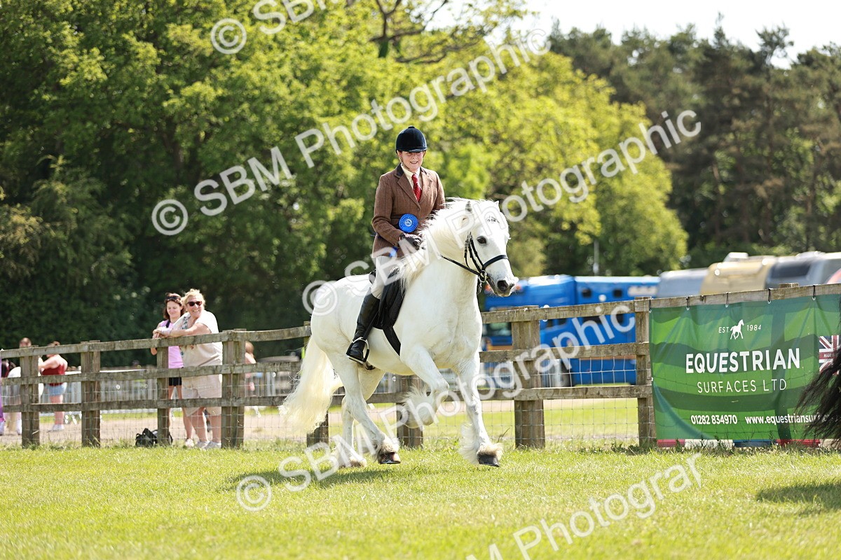 SBM_07224 - Class 26-30 - Mountain and Moorland Ridden