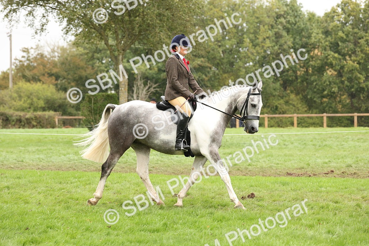 SBM_69882 - S68 - Other Coloured Horse Ridden