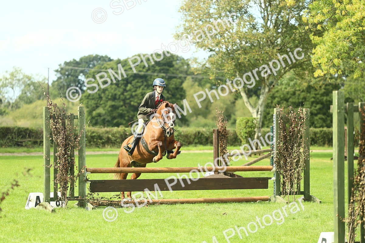 SBM_44569 - S31 - Working Hunter Pony