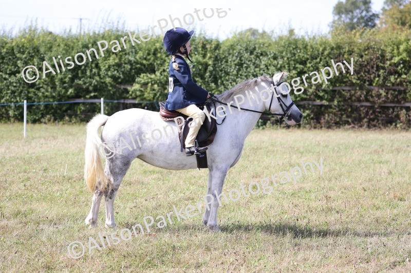 20260906-3027 - Class 18 - Childs First Pony