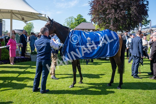140525-Race 4-Whirl-4919 - Race 4 3.45pm Tattersalls Musidora Stakes