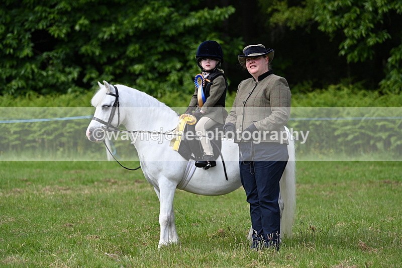 WJ7_0971 - Class 8 First Rally Pony