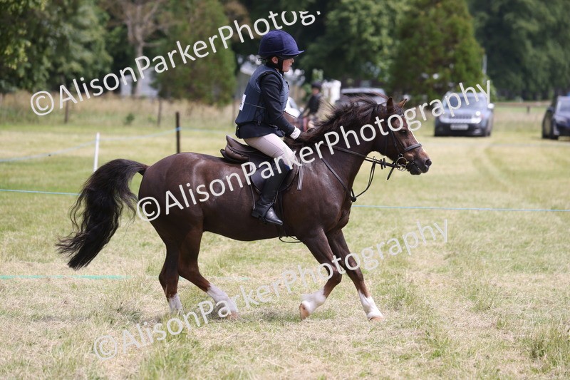 20260614-2795 - Class 22 - Open Working Hunter