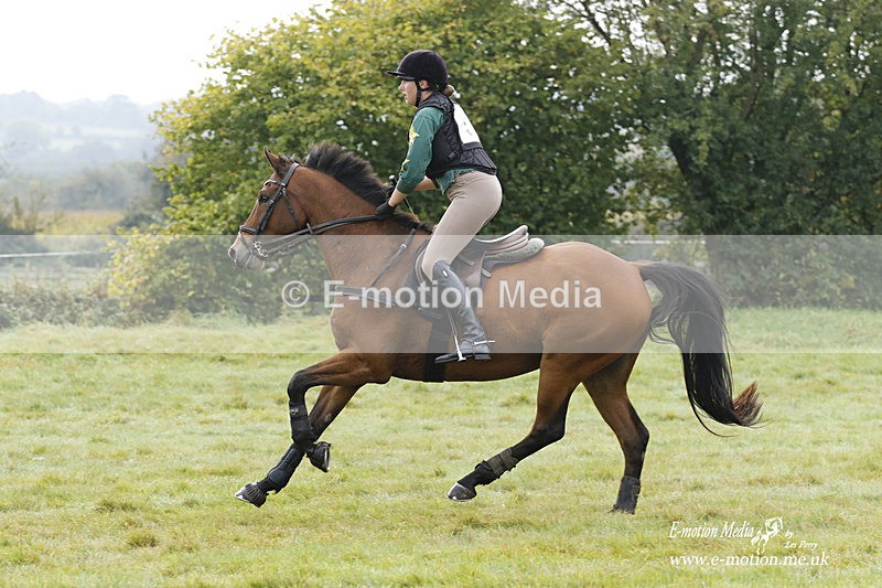  WWHT 171021 0793 - Open Novice (0.80m)  17/10/21