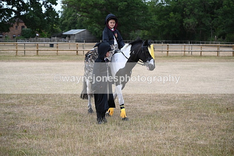 WJ6_8582 - Class 11 Fancy Dress