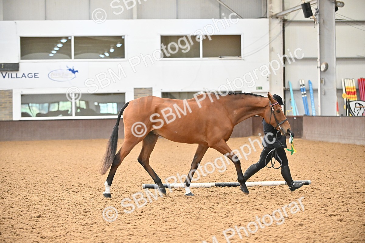 SBM_000265 - Class 7 - ROR Tattersalls In Hand