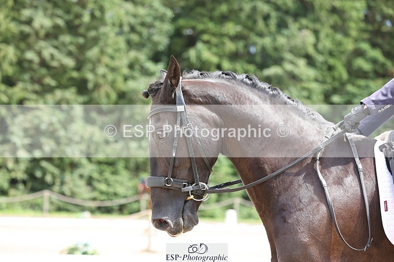 240721-141822-09503 - 232-Samantha_Pring-Tongwynlais_Moon_Dancer