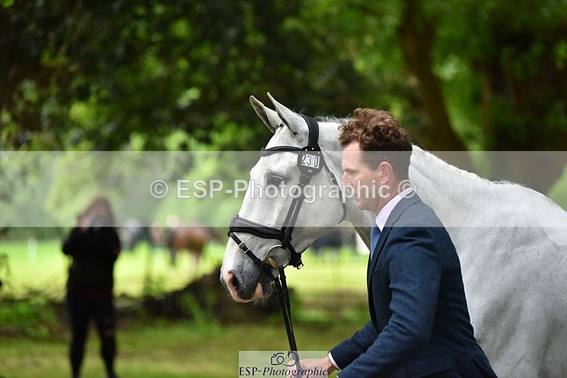 240522-165756-01288 - 230-MISTY_LIBERTY_LANE-Jesse_Campbell