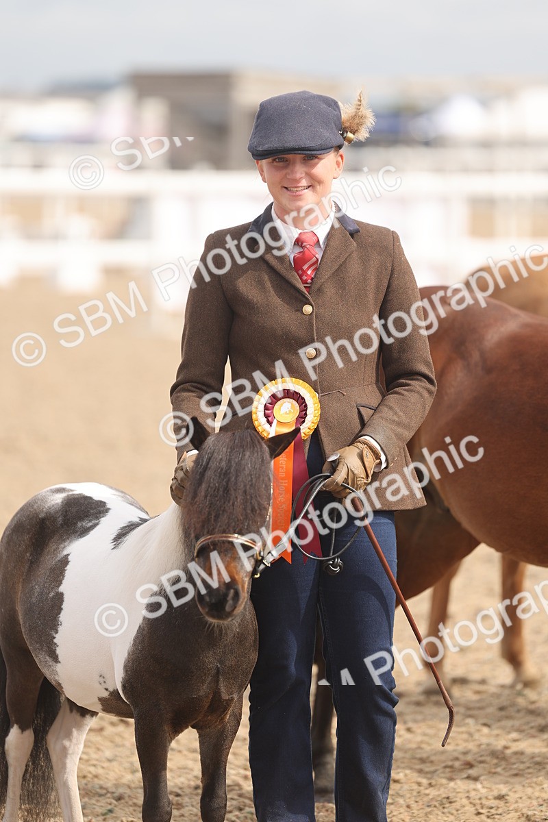 SBM_04585 - Class 19 - Horse/Pony Judge would most like to take home