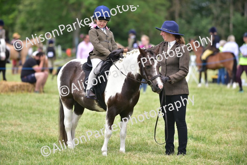 20260614-1390 - Class 11b - Lead Rein Pony (Plaited)