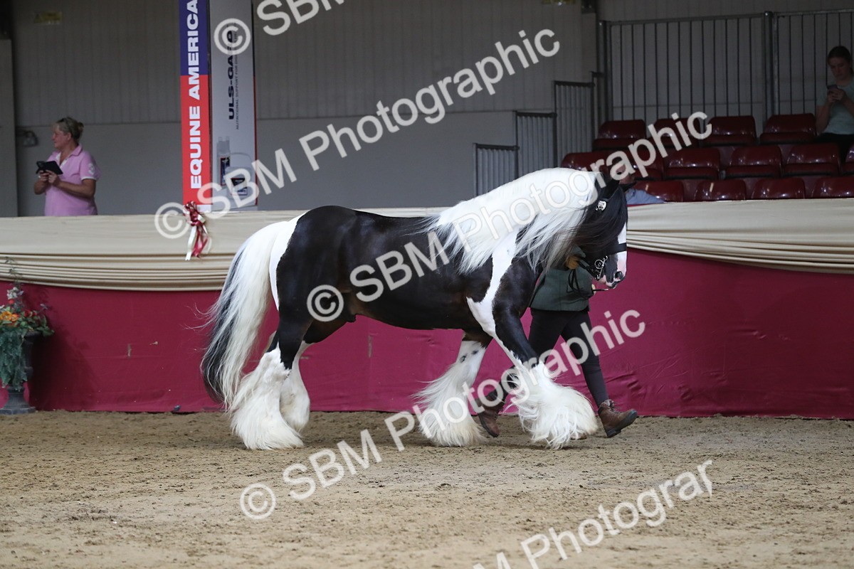 SBM_06535 - Regional IH Champ