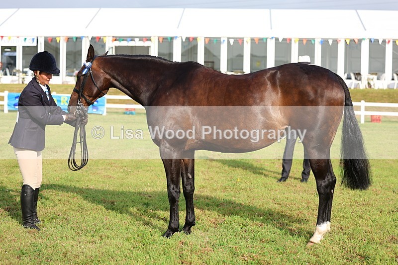 3E7A7862 - Class 1: Rising Star Small Hack/Riding Horses