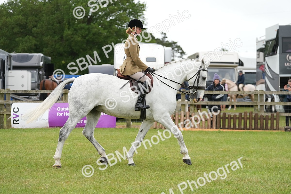 SBM_12517 - Class 97-98 - LIHS BSHA Rising Star Working Show Horse Hunter