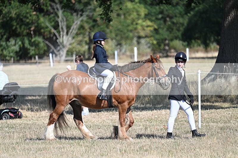 WJ7_3133 - Class 8 Ridden Tack & Turnout