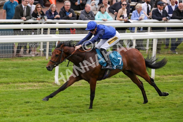 140624-Race 2-Inconspicuous-5570 - Race 2 2.25pm CGE Yorkshire Rous Selling Stakes