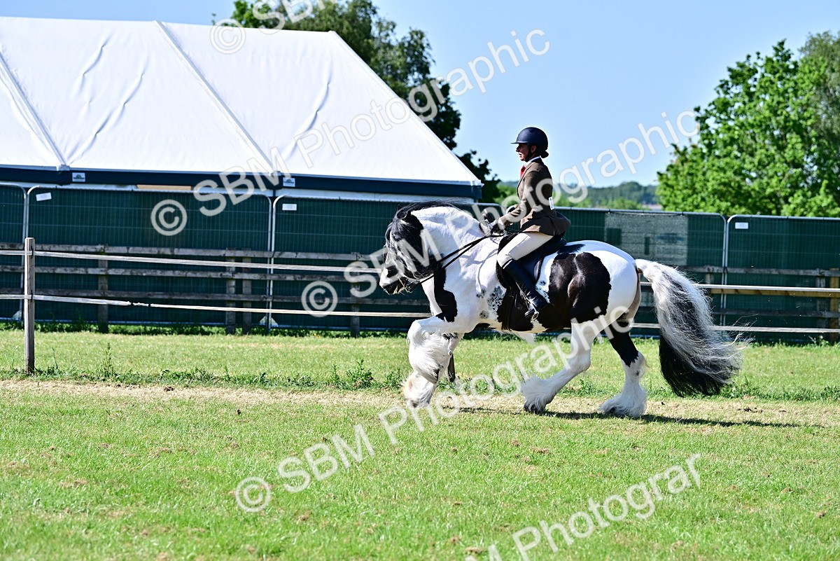 SBM_19387 - Class 101-102 - BSPS LIHS Performance Coloured Horse/Pony