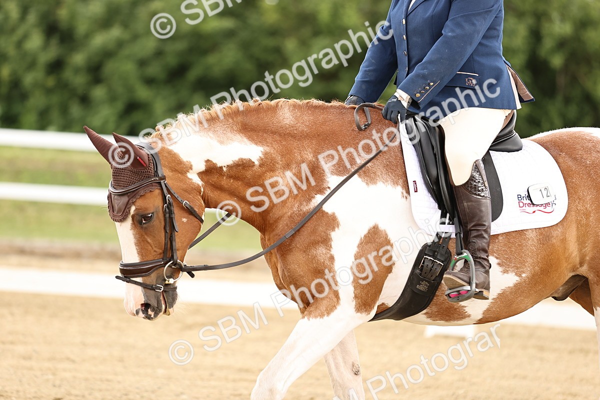 SBM_001951 - Class 2 - Novice 4 - 10.36-11.39
